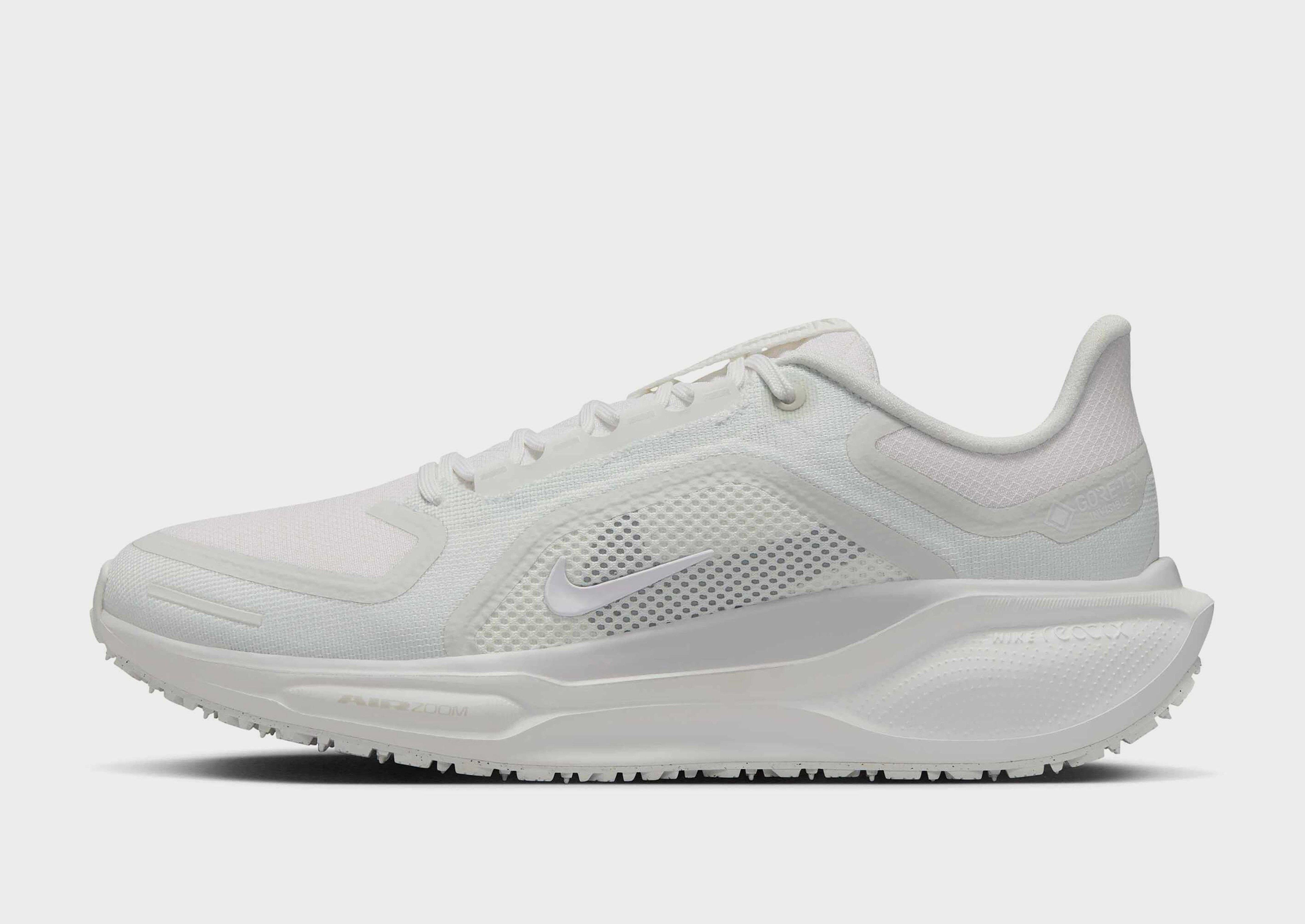 Nike Pegasus 41 GORE-TEX Women's