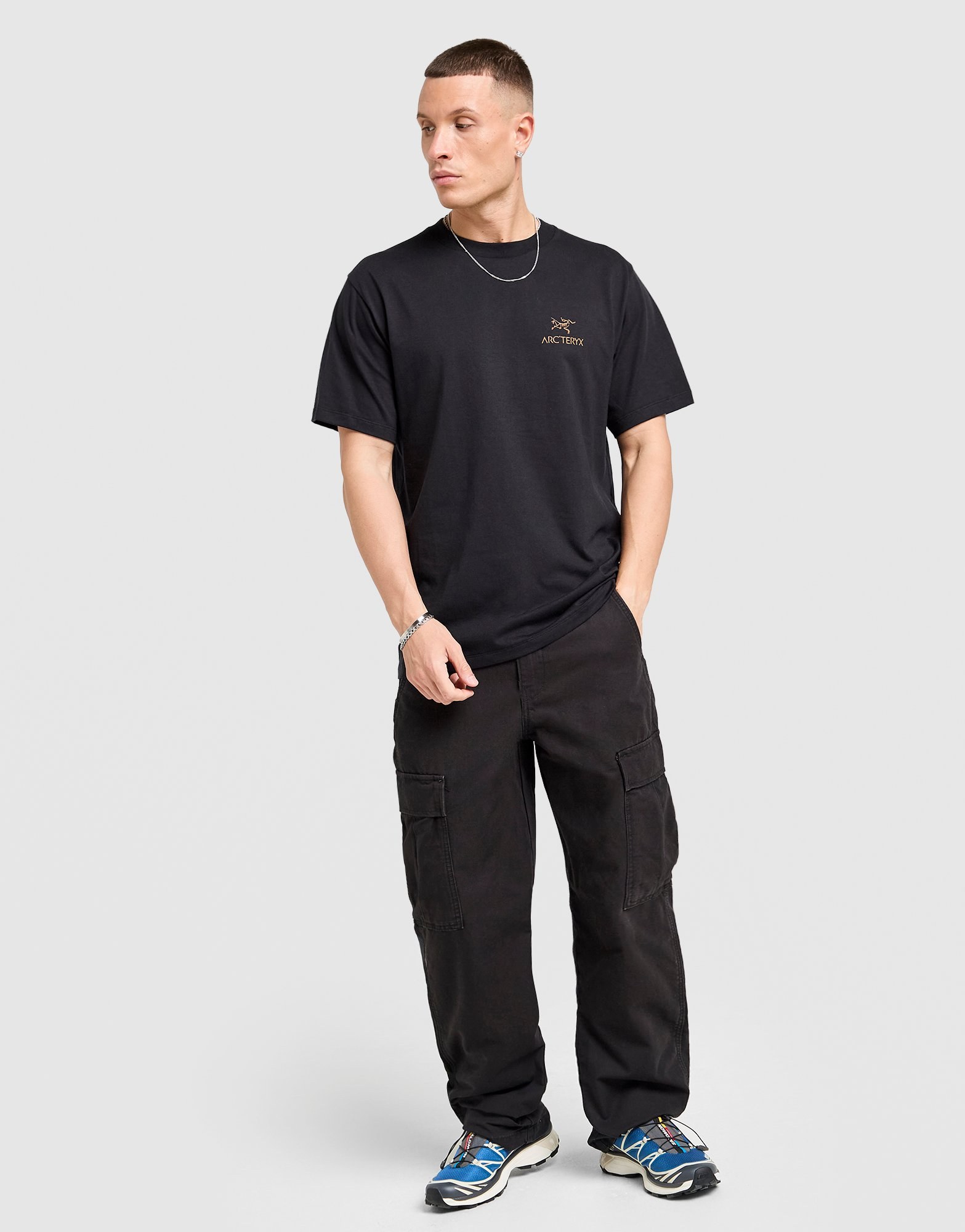Arc'teryx Kragg Back Bird T-Shirt