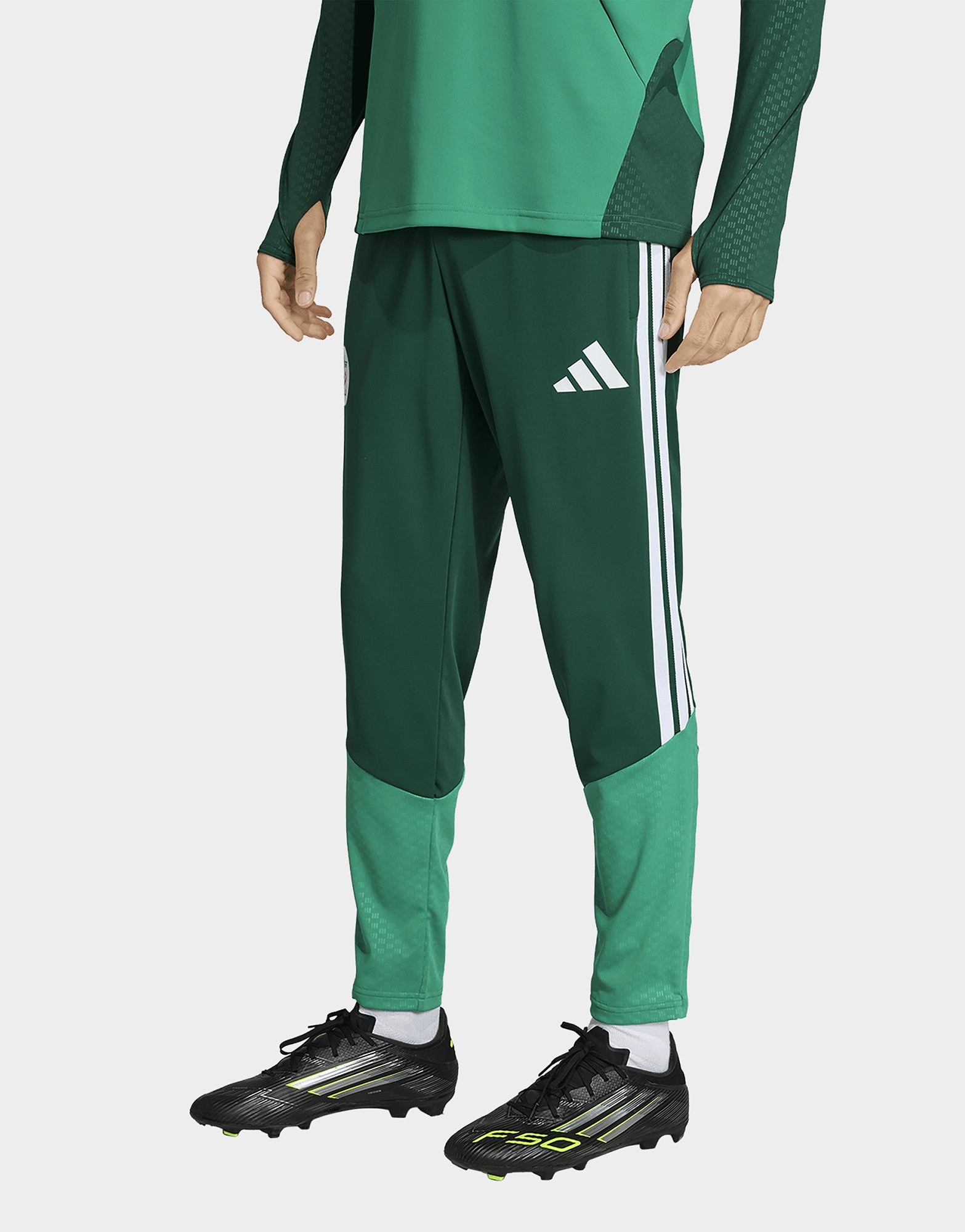 adidas Algerien 26 Trainingshose