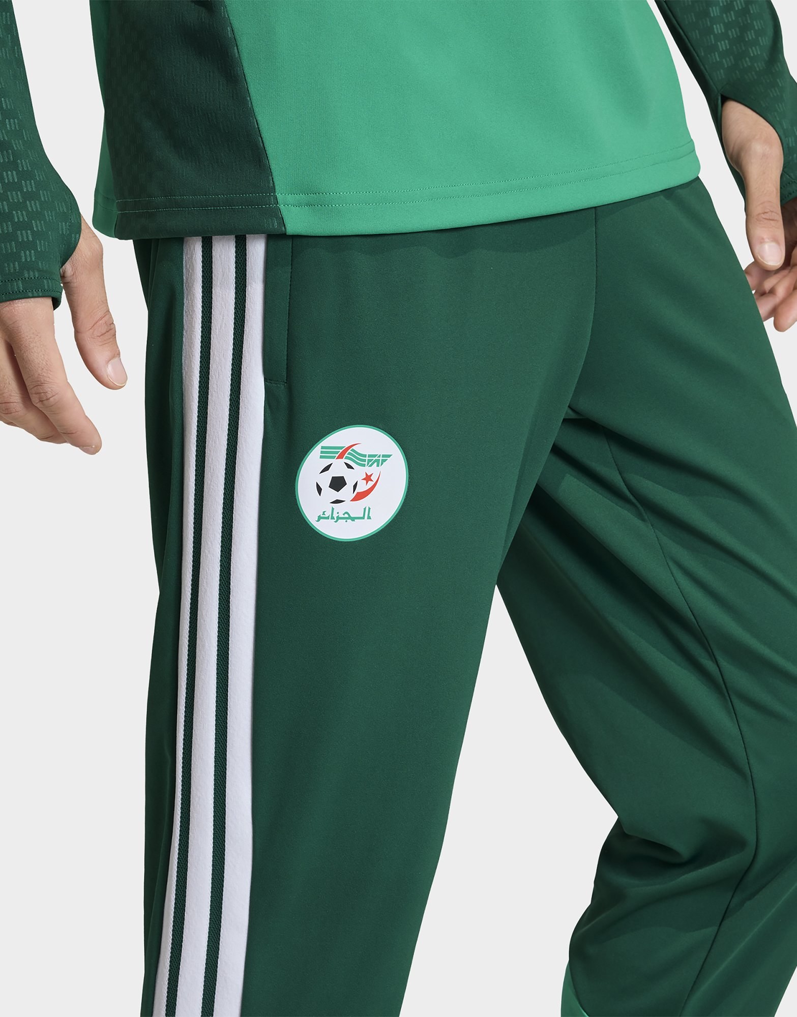 adidas Algerien 26 Trainingshose