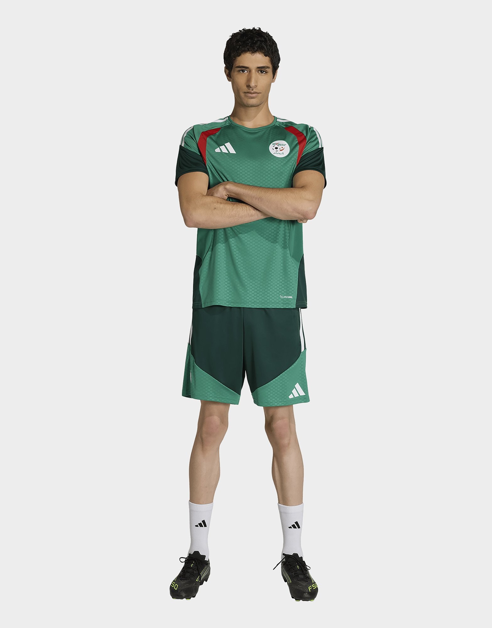 adidas Algerien 26 Trainingsshorts