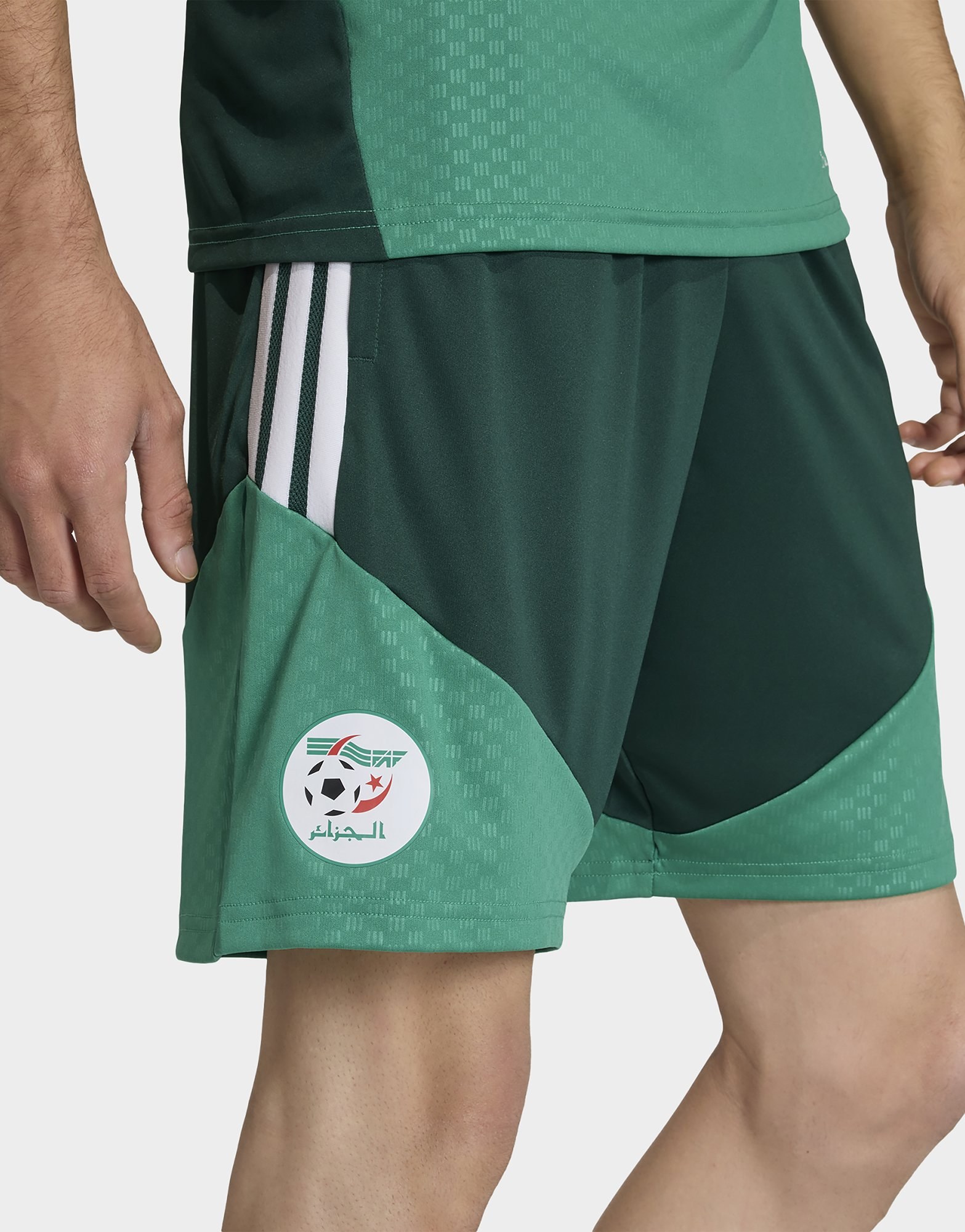 adidas Algerien 26 Trainingsshorts