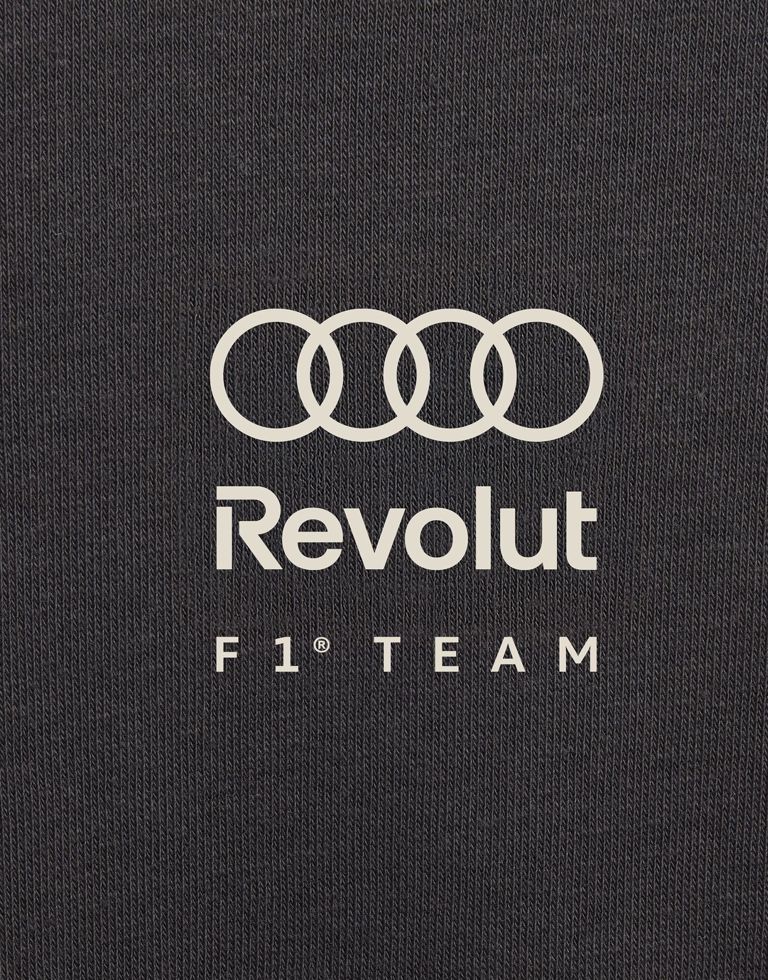 adidas Audi Revolut F1 Team Dna Kids Jogginganzug