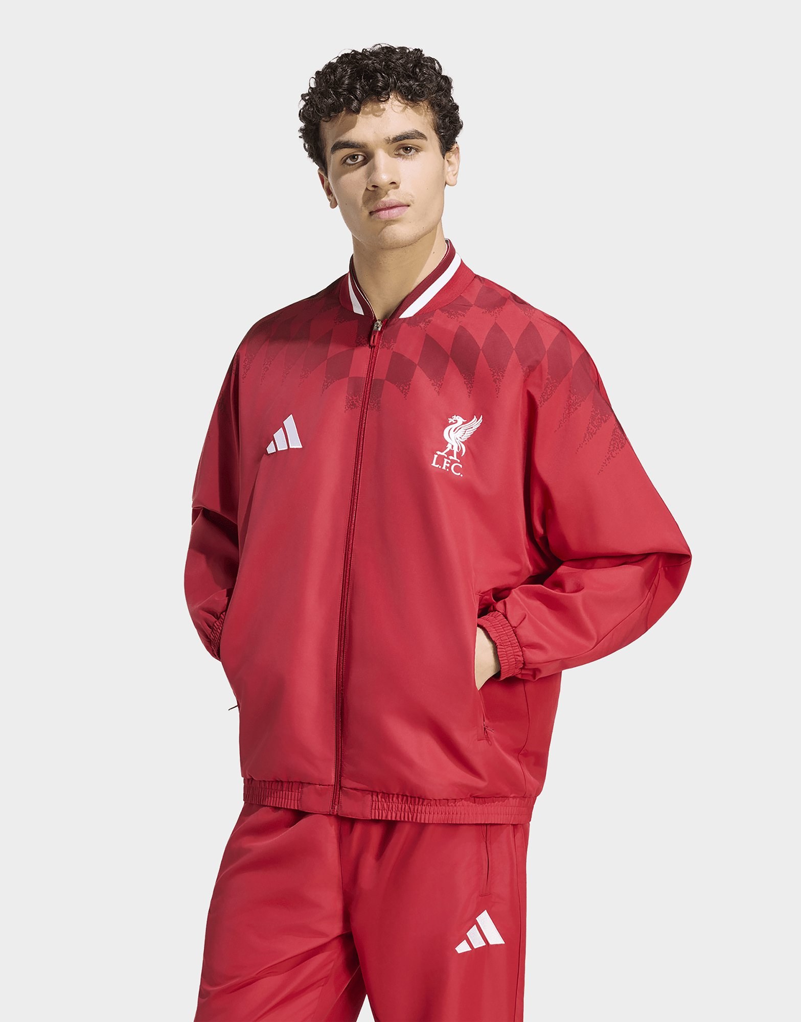 adidas Fc Liverpool Stadium Trainingsjacke