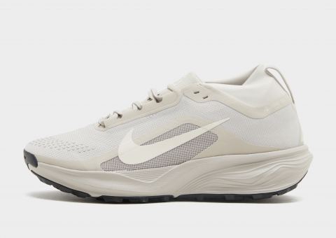 Nike Pegasus Trail 4 GORE-TEX Herren