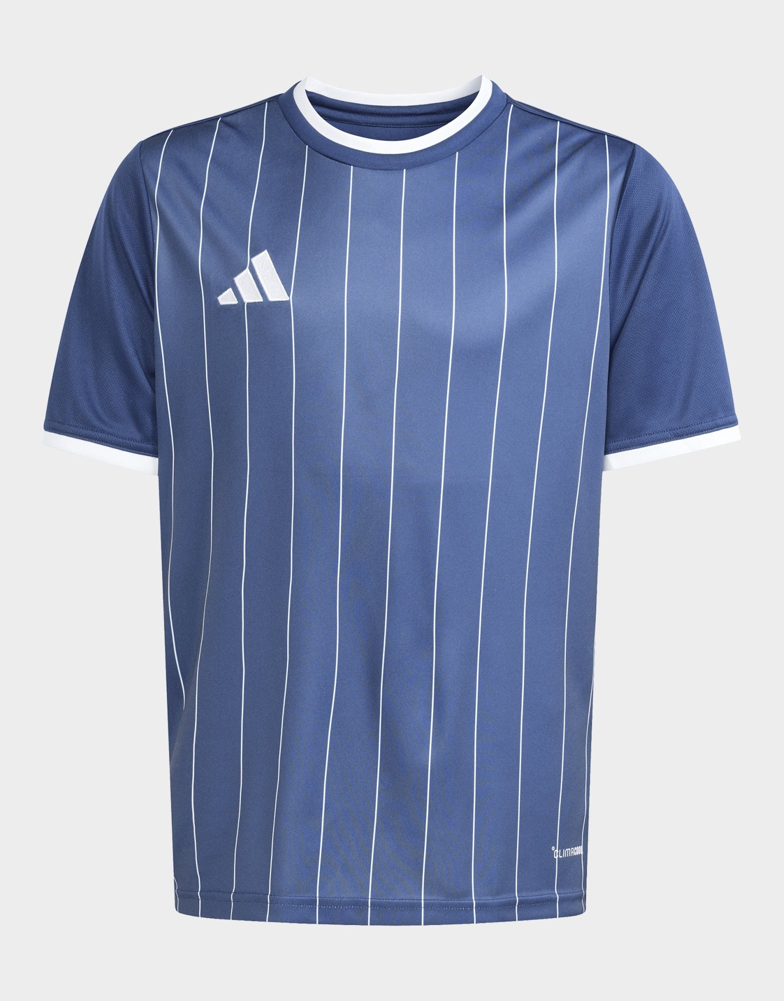 adidas Entrada 26 Kids Grafik Trikot